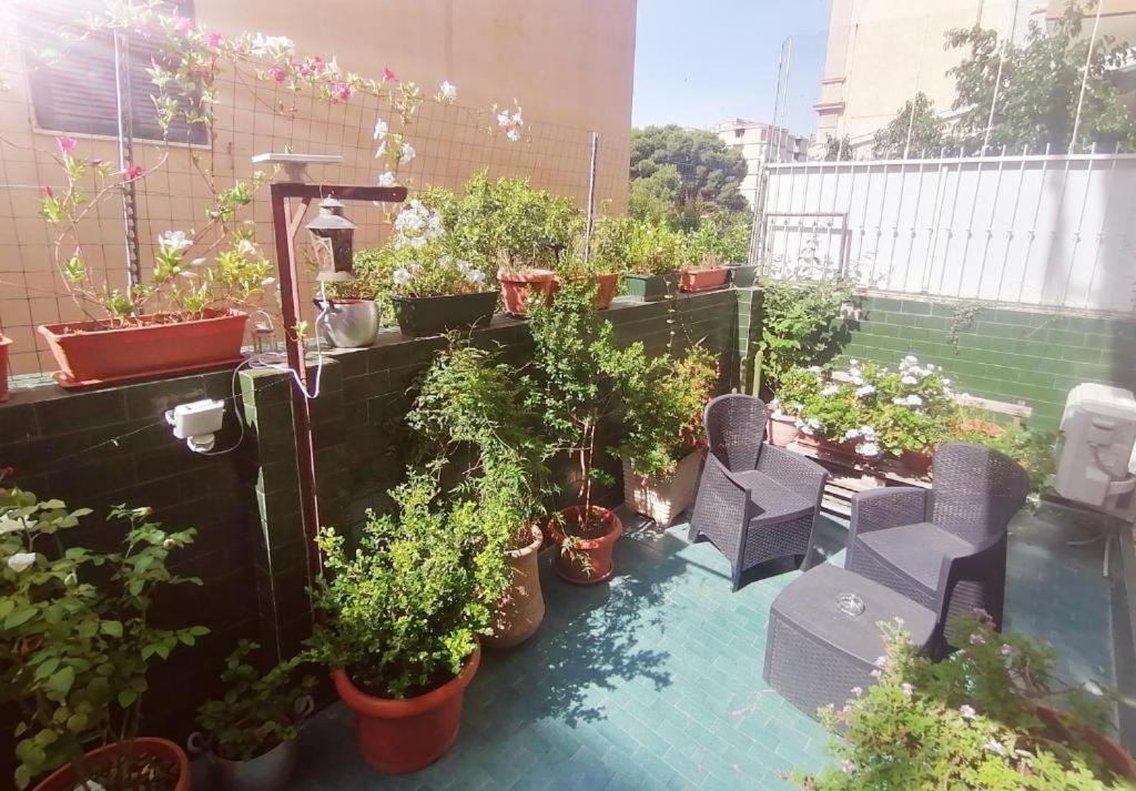 Apartment Hospiton *